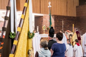 NSPJ_2017_13